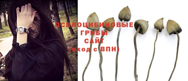 mix Абинск