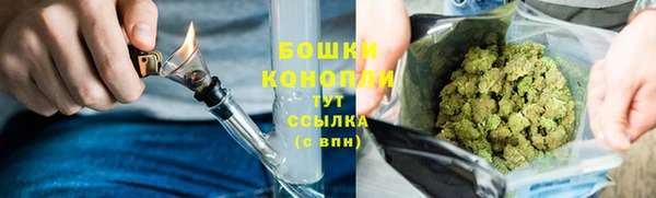 трава Алзамай