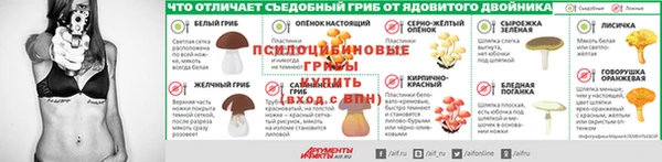 а пвп мука Алексеевка