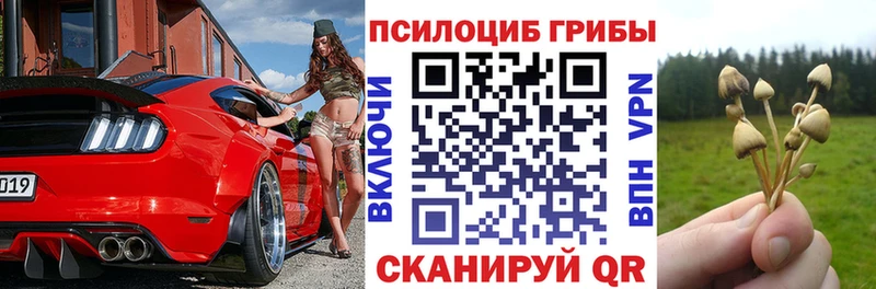 Галлюциногенные грибы Cubensis  Сургут 