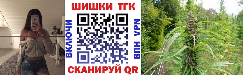 Бошки марихуана VHQ  магазин продажи наркотиков  Сургут 